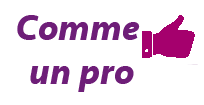 Logo jesais